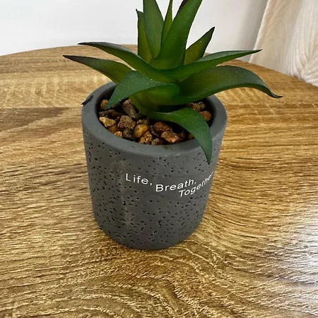 Sea Breeze Panoramic Ocean View Apartament *